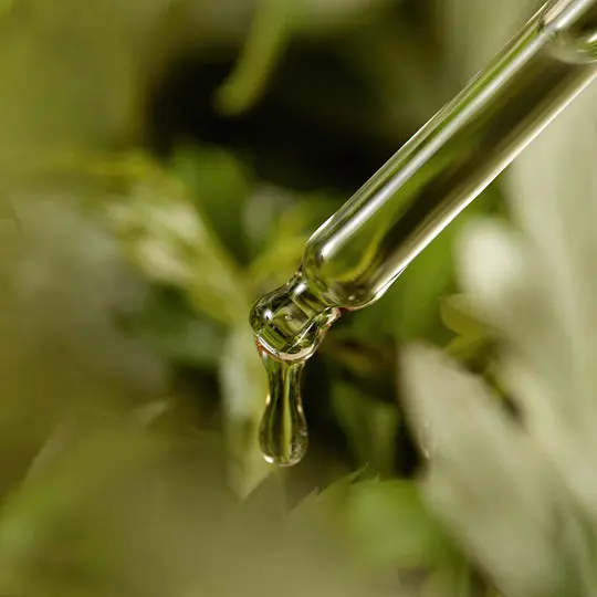Mugwort-Serum-thumbnail-04-concept4_540x.webp